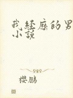 我经历的男人们小说