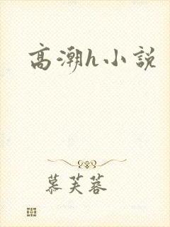 高潮h小说