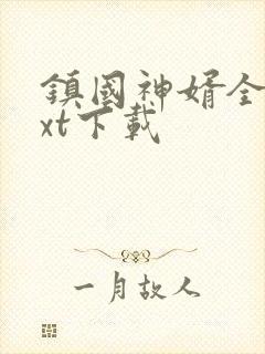 镇国神婿全本txt下载封面