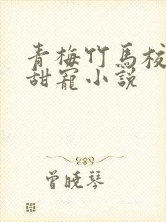 青梅竹马校园文甜宠小说