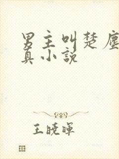 男主叫楚尘的修真小说