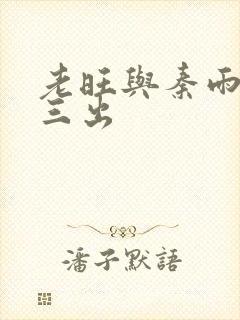 老旺与秦雨三进三出