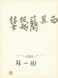 林枫苏慕白小说笔趣阁