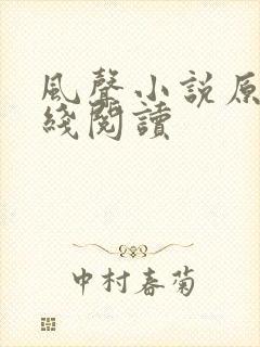 风声小说原著在线阅读
