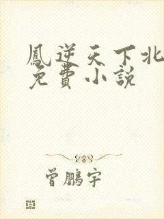凤逆天下北月篇免费小说