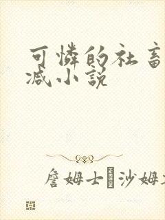 可怜的社畜无删减小说