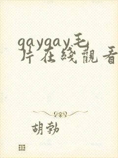 gaygay毛片在线观看视频
