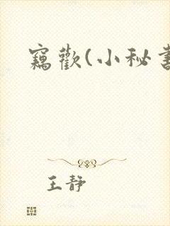 窃欢(小秘书)