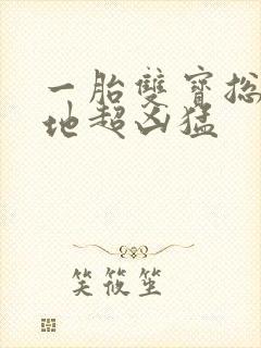 一胎双宝总裁爹地超凶猛