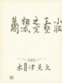 万相之王小说未删减完整版