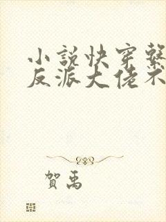 小说快穿系统:反派大佬不好惹