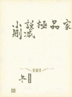 小说极品家丁无删减