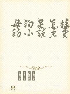 母狗是怎样炼成的小说免费阅读