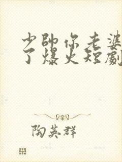 少帅你老婆又跑了爆火短剧