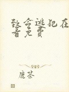 致命逃犯在线观看免费