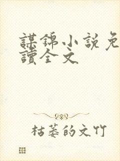 谋锦小说免费阅读全文