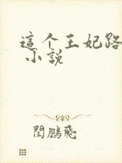 这个王妃路子野 小说