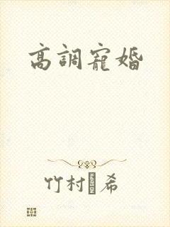 高调宠婚