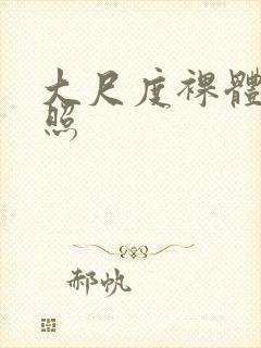 大尺度裸体私房照