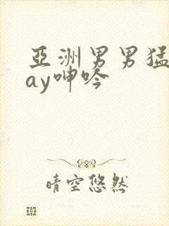 亚洲男男猛男gay呻吟