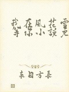 我在风花雪月里等你小说免费阅读