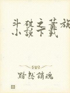 斗破之萧族冰圣小说下载封面