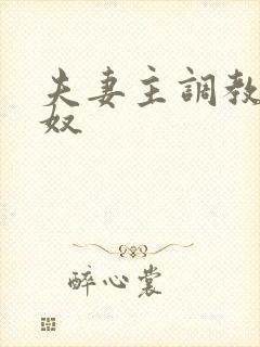 夫妻主调教夫妻奴