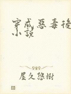 穿成恶毒后妈的小说