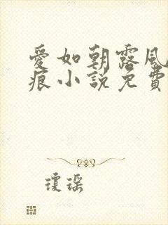 爱如朝露风吹无痕小说免费封面