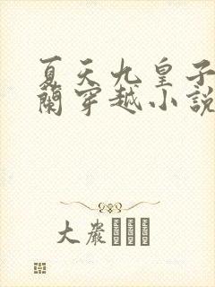 夏天九皇子司马兰穿越小说免费笔趣阁