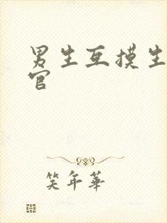 男生互摸生殖器官