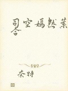 司空嫣然叶凡结合