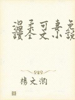 温柔可妻免费阅读全文小说