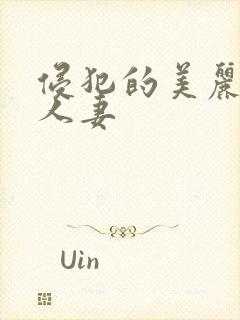 侵犯的美丽高贵人妻封面