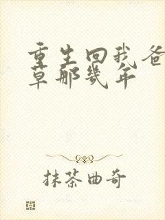 重生回我爸当校草那几年