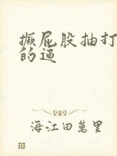 撅屁股抽打下贱的逼