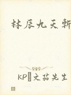 林辰九天斩神诀封面