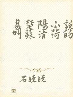 易楚阳小说女主叫苏清荷的小说名字