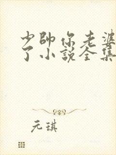 少帅你老婆又跑了小说全集封面