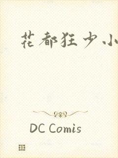 花都狂少小说