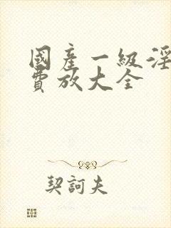 国产一级淫片免费放大全