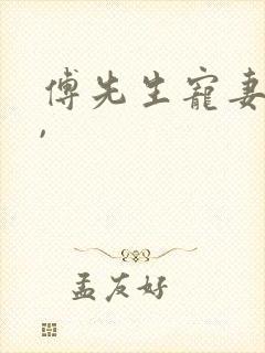 傅先生宠妻无度,