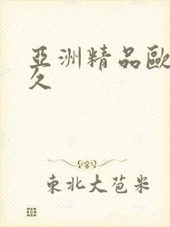 亚洲精品欧美久久