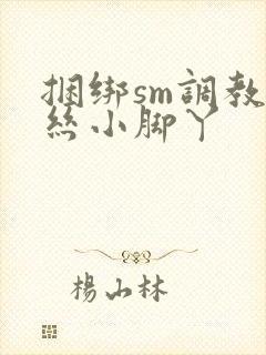 捆绑sm调教白丝小脚丫