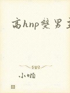 高hnp双男主