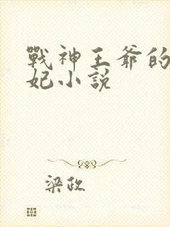 战神王爷的小医妃小说