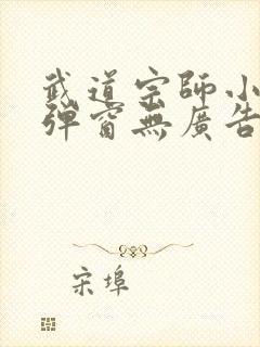 武道宗师小说无弹窗无广告