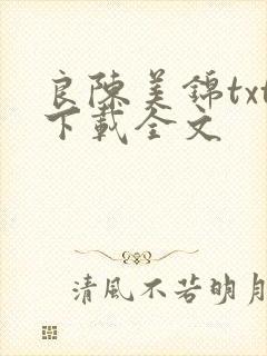 良陈美锦txt下载全文封面