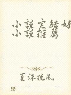 小说完结好看的小说推荐