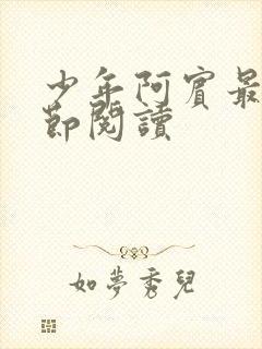 少年阿宾最新章节阅读